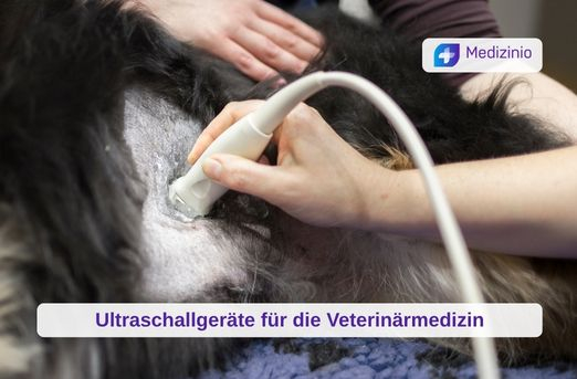 Ultraschallgeräte in der Veterinärmedizin