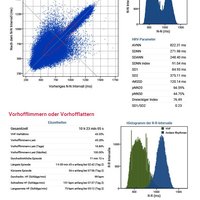 thumb: Cardiomatics Report Beispiel 2