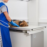 thumb: Amadeo V Systeme